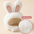NEW 2602 Easter Bunny Ears Pet Headband, Cute Cosplay Hat for Cats Dogs J043
