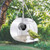 NEW 2603 Bird Feeder with Camera Hanging Transparent Bird Feeder B059
