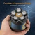 NEW 2604 6D Magnetic Head Shaver for Bald Men, Waterproof Wet & Dry Skull Shaver, 2-Speed Rechargeable B123