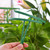 NEW 2606 Latto Home Heavy Duty Semi-Circle Plant Support Cage – Plastic Garden Plant Stake Ring for Flowers & Vegetables B5147
