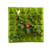 NEW 2606 Latto Home Vertical Garden Planter Wall Hanging Grow Bag with Multi Pockets for Herbs Flowers Vegetables B1034