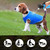 NEW 2606 Cooling Dog Vest Summer Pet Cooling  Y157