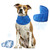NEW 2606  Evaporative Cooling Pet Bandana Summer Heat Relief Scarf  Y159