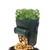 NEW 2606 4PCS Potato Grow Bag with Harvest Window Large Capacity Planting Bag Reusable Garden Grow Container J175