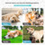 NEW 2606 Dog Cooling Vest Summer Cooling Jacket Breathable Mesh Pet Cooling Coat Adjustable Cooling Apparel for Small Medium Large Dogs J184