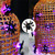 NEW 2607 Halloween LED Purple Spider String Lights 5M 50LED B220