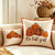 NEW 2607 2PCS Autumn Pumpkin Throw Pillow Covers B229