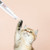 NEW 2607 Rechargeable Pet Grooming Clipper, Waterproof 18mm Blade Trimmer for Dogs and Cats J213
