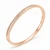 Celeste Rose Gold Cubic Zirconia Titanium Steel Bangle  Y214