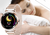 H2 Elegant Ladies Health Monitor Smart Watch with metal Magnetic strap