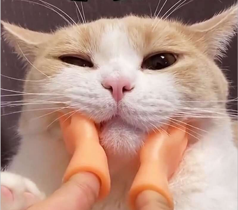 PVC Tiny hands Cat massager