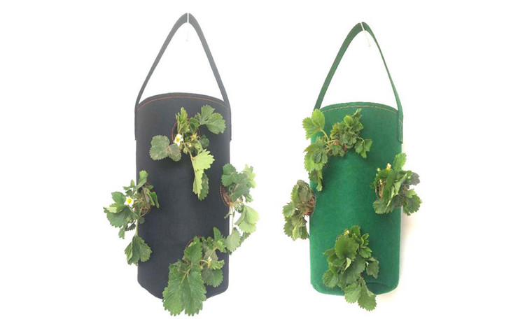 NEW-Gardening felt strawberry planting bag, wall hanger
