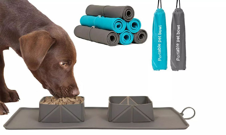 Portable Silicone Folding Pet Bowl with Non-Slip Pad