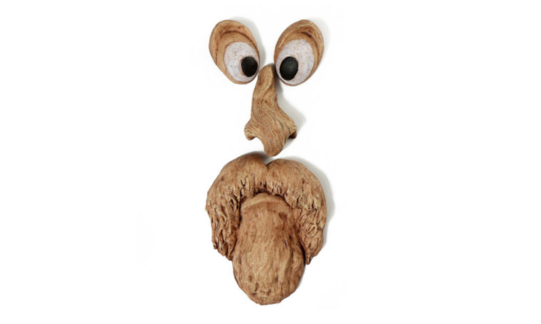 NEW Tree bark face tree monster facial features ornaments   5019