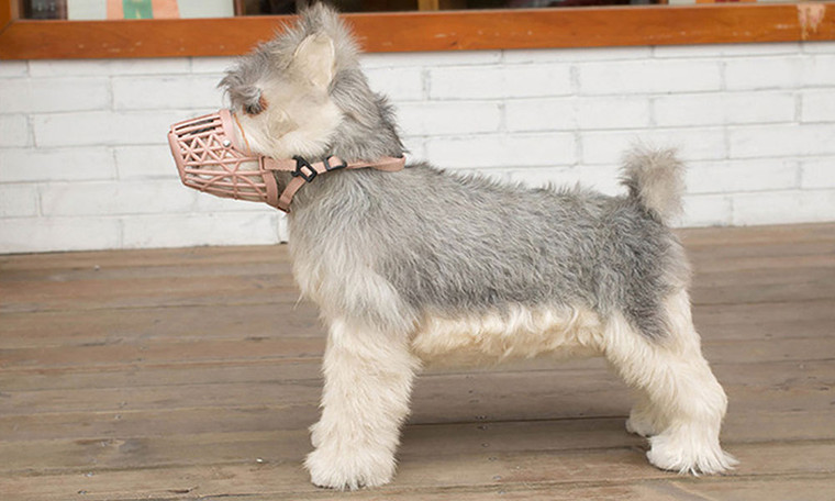 NEW Plastic dog muzzle mesh dog muzzle anti-bite and anti-barking breathable dog muzzle  5289