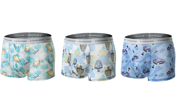 NEW three-piece set Men's Ice Silk Underpants  5392