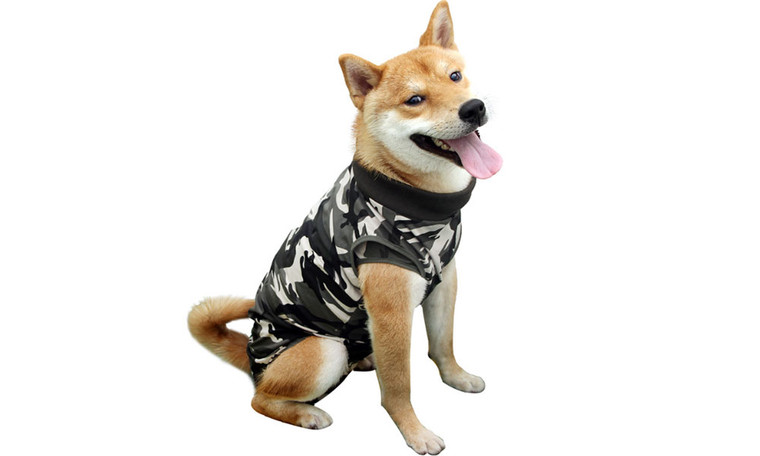 2303  NEW  Cat Wound Surgery Recovery Suit for Abdominal Wounds or Skin Diseases, After Surgery Wear, Pajama Suit, E-Collar Alternative for Cats and Dog  6722