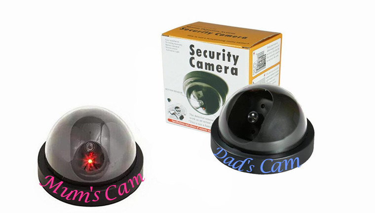 Dummy CCTV Security Cameras with Flashing LED Light with Mum and Dad sticker