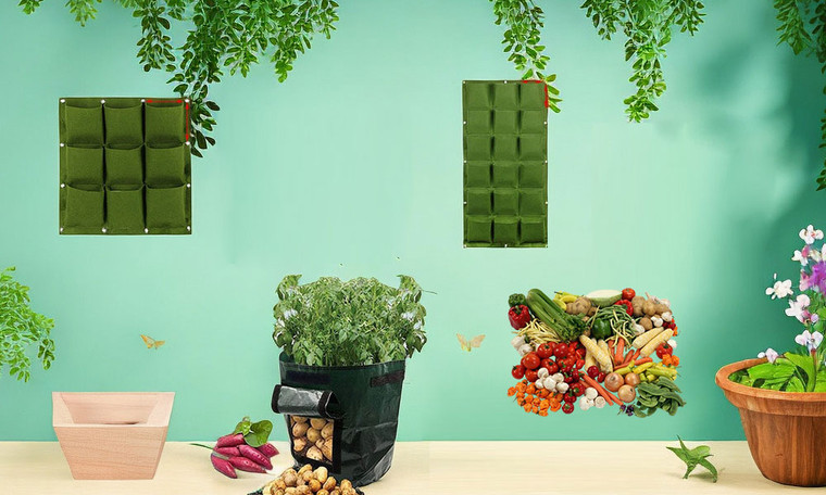 1PCS PE/Felt Planting Bags And Bumper Pack of 10 Seeds 