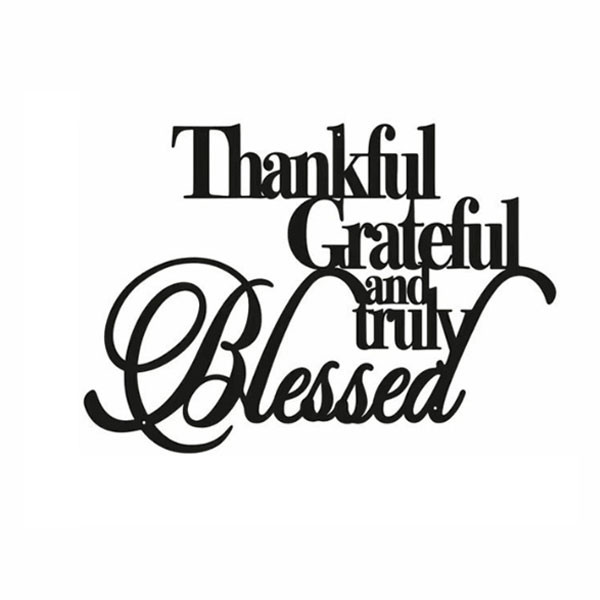 NEW  Thanksgiving wall sticker iron letters wall decoration 8513