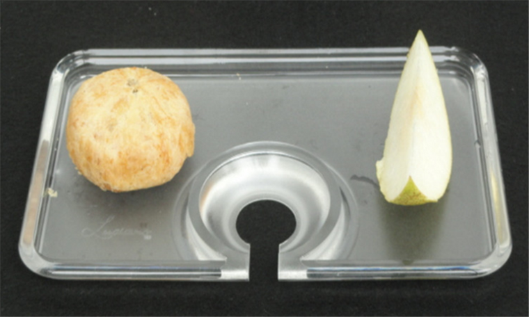 Party Dish Plates (pack of 4)