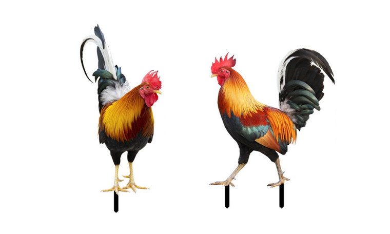 2406 NEW Acrylic rooster decoration card insertion courtyard three-dimensional rooster acrylic mirror garden outdoor decoration 8808LA
