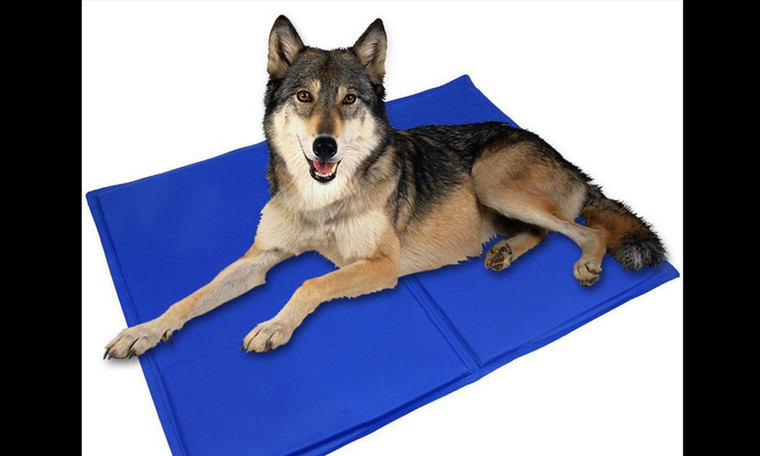 Large Pet cooling gel mat 