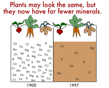 minerals-missing.jpg