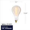 Grand Nostalgic Bulb - Teardrop Shape, 60w Incandescent Oversized Light Bulb