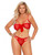 Plus Size Red Mesh Tie Front Adjustable Bra and Panty Set