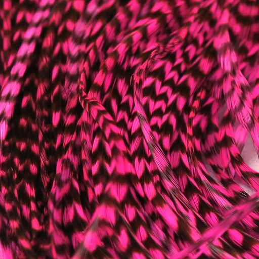 Dry Fly Saddle Hackles / FREE STANDARD US SHIPPING / Keough Grade