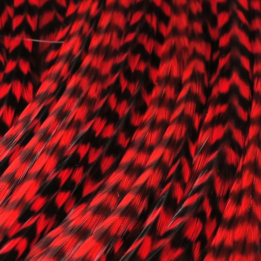 Dry Fly Saddle Hackles / FREE STANDARD US SHIPPING / Keough Grade