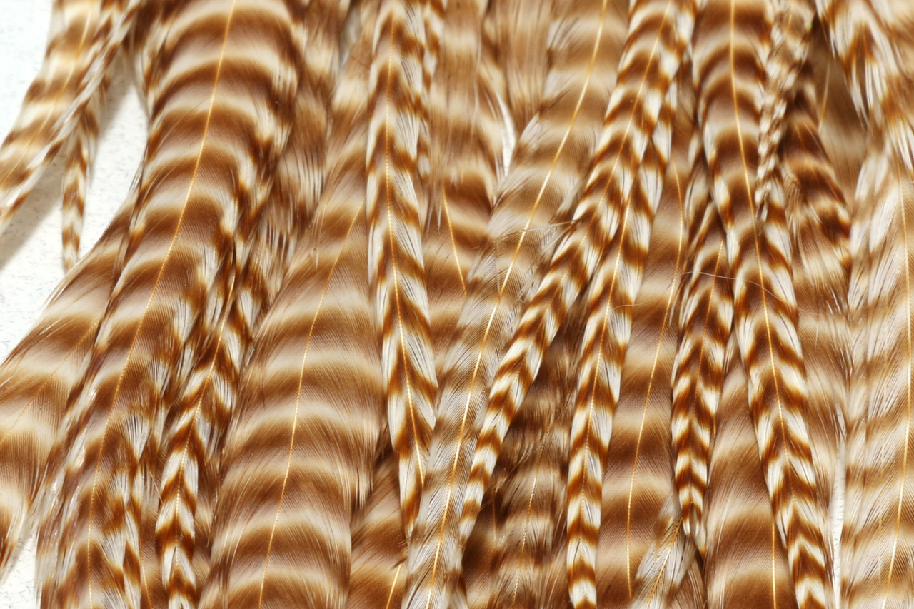 Dry Fly Saddle Hackles / FREE STANDARD US SHIPPING / Keough Grade