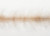 EP Shorty Foxy Brush 1.5" Wide Tan