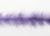 EP Shorty Foxy Brush 1.5" Wide Purple