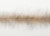 EP Shorty Foxy Brush 1.5" Wide UV Root Beer