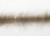 EP Shorty Foxy Brush 1.5" Wide Olive Brown
