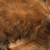 Spirit River UV2 Grizzly Soft Hackle Feathers (Tan)