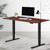 Artiss Standing Desk Adjustable Height Desk Electric Motorised Black Frame Walnut Desk Top 140cm