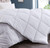 Royal Comfort 350GSM Luxury Soft Bamboo All-Seasons Quilt Duvet  - Queen - White