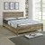 Alice 4 Pieces Bedroom Suite Natural Wood Like MDF Structure Double Size Oak Colour Bed, Bedside Table & Dresser