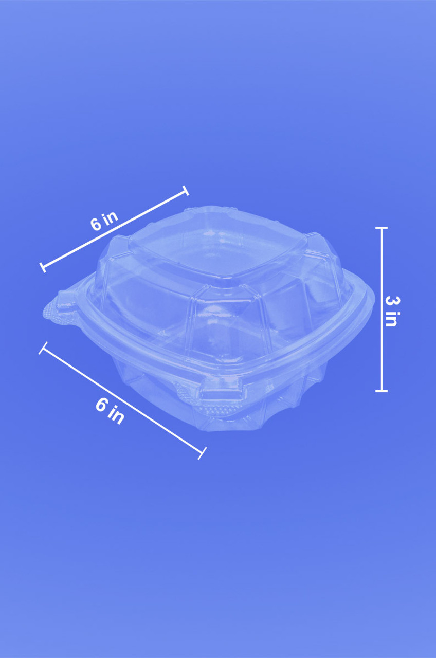 HINGED LID DELI CONTAINER - 6 x 7 x 2 1/4 - 24/CASE