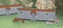 Bachmann 45176 HO Railroad Work Sheds, Gray & Oxide Red