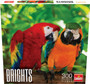 Goliath JAX8569 Brights 300pc Puzzle