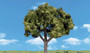 Woodland Scenics TR3502 Woodland Classics- Sun Kissed Trees, 1-1/4"-2"