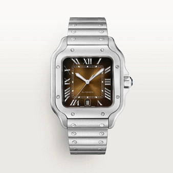 Roland de Sartori Watch Brown Dial