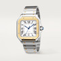 Roland de Sartori Watch Two Tone