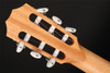Taylor Academy 12-N Classical Acoustic Guitar with Gig Bag