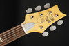 PRS SE Silver Sky in Dragon Fruit with Gig Bag