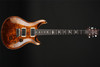 PRS Custom 24 with Pattern Thin Neck in Yellow Tiger #0353041